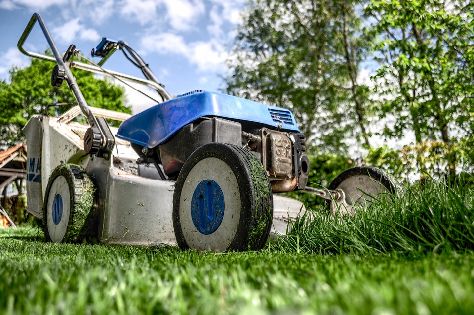 Les bases nécessaires pour commencer dans le jardinage