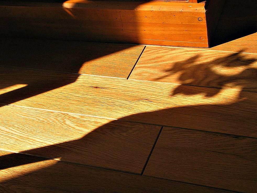 Comment entretenir son parquet ?