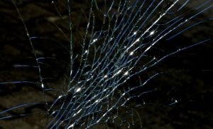 vitre brisee