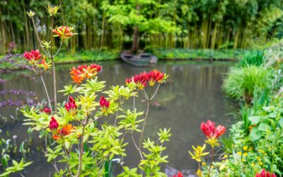 Les Jardins de Claude Monet à Giverny: Un chef-d’œuvre Impressionniste