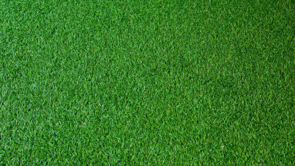 gazon synthétique