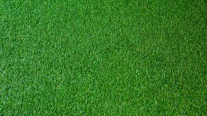 gazon synthétique