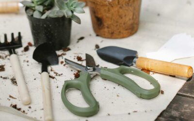 Mon avis sur les dernières innovations en outils de jardinage