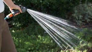 arrosage jardin