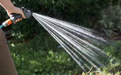 Conseils pour un arrosage efficace de votre jardin